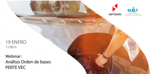 Webinar: Análisis Orden de bases PERTE VEC